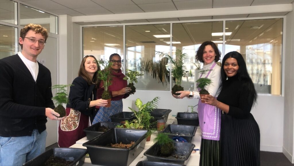 Team building kokedama Green and Gold